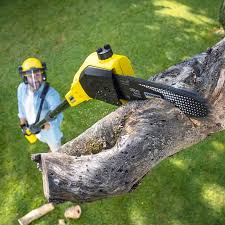 Best Commercial Tree Services  in Port Byron, NY